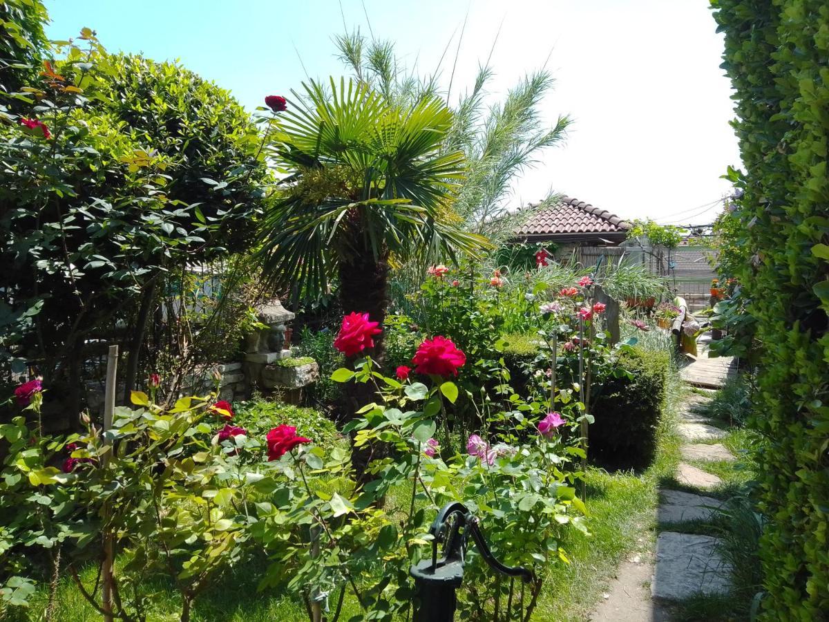 Guest House Amazonia Varna Bagian luar foto